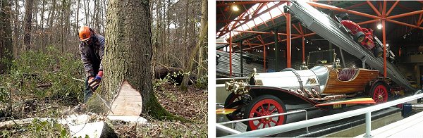 tree-motormuseum